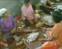 Mengintip Pabrik Rokok Rumahan Sami Jaya