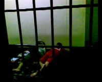 30,2 kg Ganja dan Senpi Disita Polisi