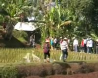 Toer de Cianjur Detikfood dan Sahabat Nestle (3)