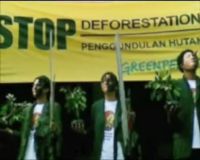 Aksi Damai Aktivis Greenpeace di Dephut