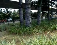 Public Art di Taman Cikapayang