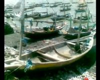 Angin Kencang Melanda Pantai Kenjeran