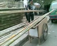 Jelang HUT RI Penjualan Pohon Jambe Sepi