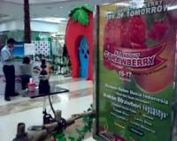 Belanja di Cito Makan Strawberry Sepuasnya