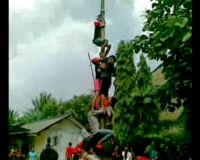 PDIP Gelar Panjat Pinang