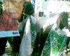  2 Kambing Berbendera PKB di KPU