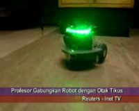 Profesor Gabungkan Robot dengan Otak Tikus