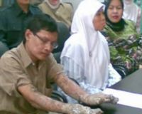 Dede Si Manusia Pohon Pulang 