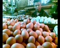 H-4 Puasa, Harga Telor Ayam Meroket