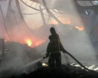 Kebakaran di Pabrik Taro Berhasil Dipadamkan