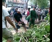 Menyingkirkan Pohon Roboh