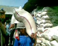 Harga Beras Turun di Karawang