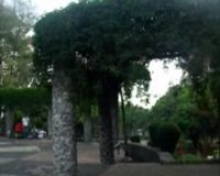 Bermain dan Melepas Penat di Taman Ganesha