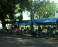 Berburu Anjing dan Kucing Peliharaan