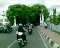 Waspadai Pohon Tumbang di Jalan Protokol