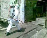 Penyemprotan Disinfektan di Pemotongan Ayam