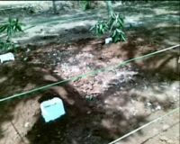 Menengok Makam Amrozi dan Muklas