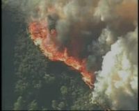 Kebakaran Hutan, Warga California Dievakuasi 