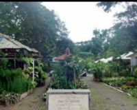   Taman Cibeunying, Jalur Hijau Tanaman Hias