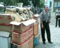 Polisi Amankan 512 Kg Ganja
