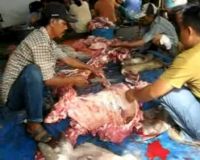 Ribuan Sate untuk Pemulung