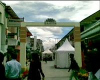 Braga Festival 2008 Kurang Semarak
