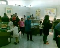 Liburan ke Museum Geologi 