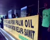Greenpeace Demo Deptan