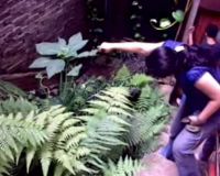 Ulat Bulu Serang Rumah Warga 