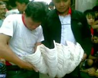 Cangkang Raksasa Hebohkan Warga Bandung