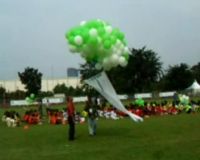 Peresmian Grassroot Visi 2020 Akademi Sepakbola  