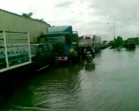 Luapan Air Laut Genangi Pesisir Surabaya