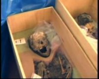 Puluhan Mummy Perempuan Ditemukan di Peru