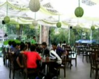 Bersantap di Rumah Pohon yang Homy