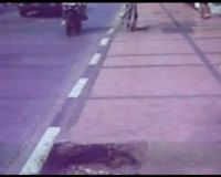 Pohon di Jalan Braga Hilang