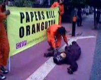 Aksi Meminta Perlindungan Habitat untuk Orangutan