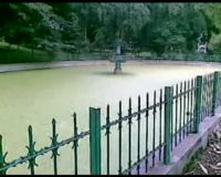 Dinas Pertamanan Gembok Taman Maluku