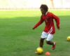 Latihan Penebus Lara Indonesia All Star