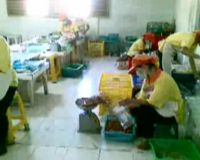 Manisnya Bisnis Sale dan Kripik Pisang