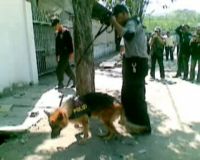Sebuah UD di Surabaya Kerampokan