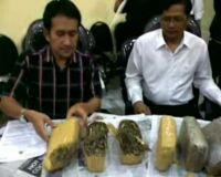 Ganja Aceh di Dalam Makanan
