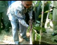 3 Menteri Tanam Pohon di Tol Kanci