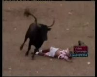 Pria Tewas Tertanduk Banteng di Kolombia