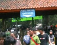 Libur Lebaran, Ragunan Masih Jadi Favorit 