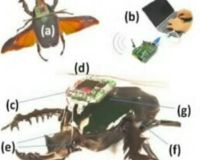  Sinyal WiFi Kontrol Kumbang Untuk Terbang