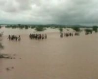 Banjir di India Selatan Tewaskan 200 Orang
