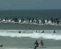 Surfing Massal di Afsel Pecahkan Rekor