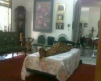 Ayahanda Ari Padi Meninggal Dunia