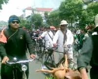 Perayaan Bandung Blossom 2009