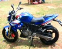 Kalajengking Orang Kantoran